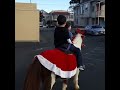 No.7 At the church Christmas party. Jaykob riding a pony for the first time! 2018