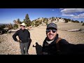 Patriarch Grove in the Ancient Bristlecone Pine Forest off Highway 395