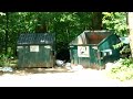 Bear in dumpster!