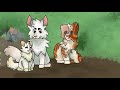Part 10 | Mother's Song - A Brightheart and Whitewing || PMV MAP