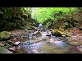 Forest Cascade Rapid River sounds Nature noise for sleeping Audio relax