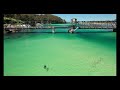 Booraz The Local Seal Of Wagonga Inlet, Narooma