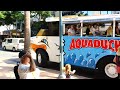 Australia - AquaDuck - Surfers Paradise - Queensland HD 10