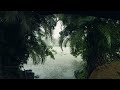 Refreshing Monsoon Rain Walk in a Beautiful Village of Kerala | ASMR Rain Sounds for Deep Sleep
