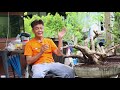 Bonsai Station [Workshop Station] EP.21 ขุดตอมาทำอย่างไรดี (เพรมน่า)