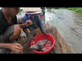 Mập Mình Với Mẻ Lưới Này Rồi: Bắt Cá Ven Sông Ai Xem Cũng La Trời / Catch fish along the river