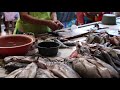 Markets in Nicaragua with Chef Jenny Dorsey