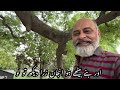 Massage of Bakar Eid 2024 | iftikhar Ahmad usmani