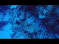 POV Diving - Santa Rosa - Cozumel - Mexico