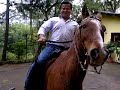 cómica caída de un jinete y un caballo