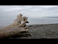 Golden Gardens -- Seattle, WA