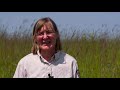 Iowa Land and Sky: Loess Hills And Prairies