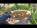 Making a Small Wildlife Pond - Timelapse - 4K