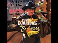 Mix De Puros Corridos De Los Cachorros De Juan Villarreal