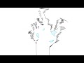 Animated hand from memory
