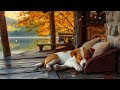 Anti-anxiety music for dogs 🐶 Calming music for dogs ♬ Deep sleep for dogs💖🎵