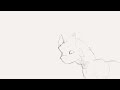 Another cat animation