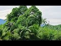 MAY PANIBAGONG TEKNOLOHIYA TAYO MGA KAFARM LALO NA SA PAG SPRAY, DIRECT SEEDS AND FERTILIZER APPLY