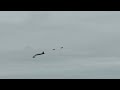 B17 flying fortress flypast with the blades Duxford summer airshow 2022