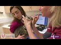 Administering oral products to cats