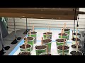 Planting Fall Garden Seeds Indoors 🥦🥬🍅What are you planting? Ga Zone 7b