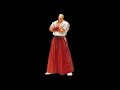 Fatal Fury Special - An Ego for Geese (Bonus Track)