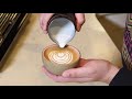 HOW TO POUR A SWAN w/ Latte Art World Champion