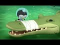 Octonauts - The Saltwater Crocodile | Cartoons for Kids | Underwater Sea Education