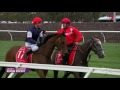 2016 Melbourne Cup | HD | Full Race |