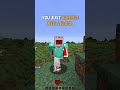 Types of Servers in Minecraft