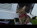 Herrlicher Mini Campingplatz  Nordsee NIEDERLANDE / Wohnmobil Tour  2024 / Cats Camping / #vlog153