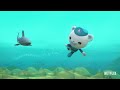 Octonauts Mystery Wheel of Adventure | Netflix Jr