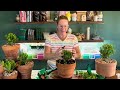 How To Start Topiary On The Cheap! 🌲🌲 || Topiary Basics || How To Make A Topiary || Topiary Tutorial
