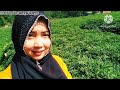 ORANG KAMPUNG CUCI MATA ...... ⁉️ #vlogs #alamindonesia #jalanjalan@sriaminunyuunyu5886