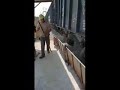 Video of 2580cf Steel Hoppers Unloading