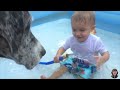 Cute and Funny Baby Enjoying Water Everytime || Funny Baby and Pets