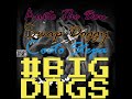 Austo The Don x Swap Doggy x Cocto Stepa - Big Dogs (Visual)