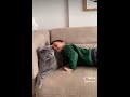 Adorable cat video