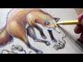 How to Draw a Fox with Prismacolor Pencils