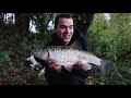 How To Catch Chub - THE FULL GUIDE!