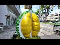Simon Road & Upper Serangoon Road Walk Tour & Lunch Vlog #singapore #lunch #oldplace #food