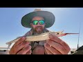 Surrounded by Garfish in Cowell | South Australia