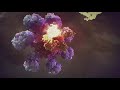 Apoptosis Animation