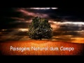 PAISAGEM E NATUREZA DESLUMBRANTES - 1 (Legendado - HD)