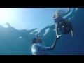 Tusa Underwater Scooter Freediving Musandam مسندم عمان