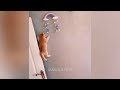 Funniest Cats 😸 Funny Animal Videos 🤣😂