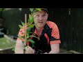 How to Install Garden Irrigation | Mitre 10 Easy As DIY