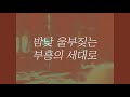 부흥의 세대 Revival Generation | 스캇 브래너 Scott Brenner | Official Lyric Video