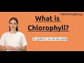 What is Chlorophyll? | Definition of Chlorophyll And How It Functions