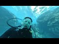 【沖縄】慶良間諸島ダイビング／体験ダイビング